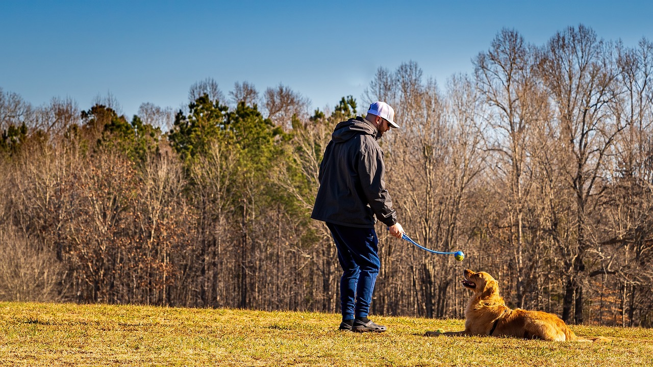 How to Teach Your Dog to Navigate a Maze